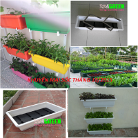 Khuyến mại sốc tháng 10/2015